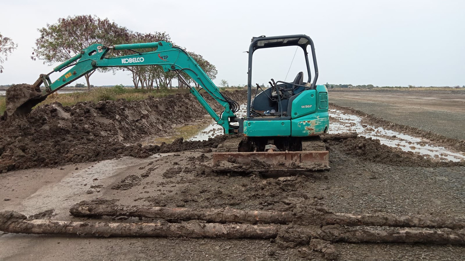 Rental Excavator Kobelco SK50P